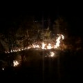 Požar u naselju Stepa Stepanović: Vatra buknula u blizini supermarketa i širi se velikom brzinom: Vatrogasci na terenu