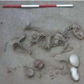 Arheološka misterija: Zašto su drevni ljudi sahranjivani sa psima i konjima