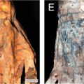 Tetovaže koje oduzimaju dah otkrivene na peruanskim mumijama starim 1.200 godina