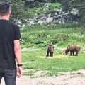 (Video) Milan Vasić na Šar Planini, tik pored dva medveda: Glumac se snimio i poručuje: "Ovo je poseban osećaj"
