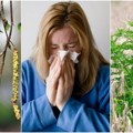 Odzvonilo nestašicama antihistaminika! Ruski superalgoritam predviđa sezonske alergije sa stopom tačnosti od 92 odsto
