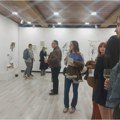 U Kulturnom centru Zrenjanina u četvrtak je otvorena izložba Anđele Kostić Kulturni centar Zrenjanina