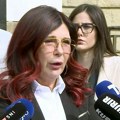 Dobričanin: Tragedija u "Ribnikaru" treba da se ispita sa aspekta terorizma