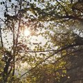 Сунцано и топло па ново ново захлађење