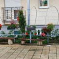 Biramo najlepšu baštu Organski vrt Janka Đenića u sivilu betona