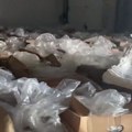 Rekordna zaplena droge u Španiji, u bananama 9,5 tona kokaina