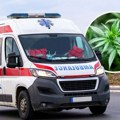 Reakcija vozača saniteta nakon hapšenja zbog droge zaprepastila policajce: Evo šta je radio