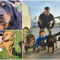 Bravo novosađani! U aprilu oboren rekord udomljavanja pasa Zoohigijena upozorava da svest o odgovornom vlasništvu mora biti…