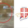 „Pomahnitali vozač“: Savezi izdali saopštenja o napadu na Tamišu