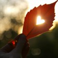 Ljubavni horoskop za 5. oktobar: Vage uživaju u harmoniji, Blizanci upoznaju srodnu dušu ali spremaju se problemi