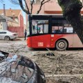 Kamion zakačio granu koja je pala na autobus u Nišu – povređenih nema