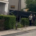 Polomili ogradu i krenuli u slobodu! Veličanstvene životinje trčale po gradu: Neverovatan snimak u Kragujevcu