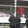 Podela paketa hrane i higijene u seoskim mesnim zajednicama