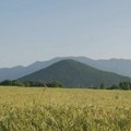 Veritas: U Gospiću 1991. ubijeno 129 Srba, traga se za 69 nestalih
