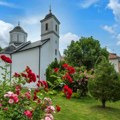 Manastir Petkovica – reprezent kasne srednjovekovne crkvene umetnosti
