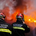 Izbio požar na Voždovcu: Vatra buknula na livadi u blizini supermarketa, vatrogasci ekspresno stigli na lice mesta