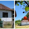 Trešnje skuplje od zlata, a Jelena prodaje kuću, plac i voćnjak za 29.000 evra Ima dovoljno da se gađa i obogati (foto)