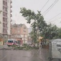 Oluja oborila drvo nasred puta u Kragujevcu: Počelo nevreme u Srbiji, nižu se upozorenja