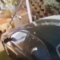 Jeziv snimak Muškarac ušao u privatno dvorište, sačekali ga opaki čuvari koji nisu imali milosti
