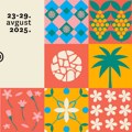 U trci za Gran pri Zlatna mimoza jedanaest ostvarenja: Program 38. Filmskog Festivala Herceg Novi – Montenegro Film Festivala