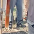 Студенти се огласили о начину како је њихов колега доведен на сахрану оца: „Данас су ове лисице на ногама невиних, сутра ће…