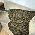 Dačić: Zaplenjeno 350 kilograma marihuane u mestu Gornja Badanja