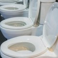 Ova WC šolja košta više od 8 miliona evra: Kad je vidite, biće vam jasno i zbog čega