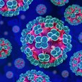 Putnici sa kruzera na kojem je izbila epidemija hantavirusa biće iskrcani u Španiji