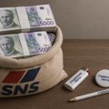 SNS i partneri na kampanju za lokalne izbore potrošili 1,8 miliona evra, lokalnim medijima mrvice