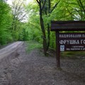 Pitanje opstanka: Meštani i komunalci spasavaju divljač od žeđi na Fruškoj gori VIDEO