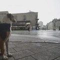 Prognoza vremena za utorak, 15. septembar: Oblačno sa lokalnom kišom