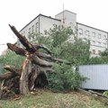JUTRO POSLE OLUJE: Novi Sad pretrpeo ogromnu štetu (FOTO)