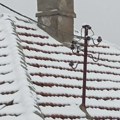 Planinsko područje ostalo bez struje