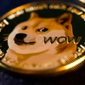 Dogecoin uzletio, iza priče je opet Musk