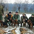 Šokantno: Šakal pojeo šestoro štenadi - Lovci u borbi protiv najezde ovog predatora u Srpskoj! (foto)