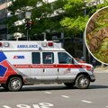 Dečaka ujela otrovna zmija dok je bio u vrtiću: Prsti su mu otekli, niko nije hteo da pozove Hitnu pomoć