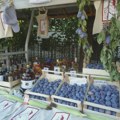 Vodička tura kroz Stragare: Besplatan prevoz i obilazak „Šumadijskih dana šljive“