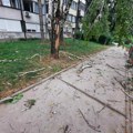 "Šetao sam pse, samo se drvo ispred mene: Prepolovilo!" Beograđani u šoku posle superćelijske oluje: Nakon Slovenije i…