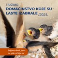 Traži se seosko domaćinstvo sa najvećim brojem lasta!
