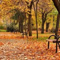 Kratak predah od padavina, uz razvedravanje raste i temperatura