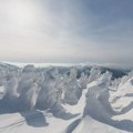 Јединствени феномен природе: Да ли сте чули за снежна чудовишта?