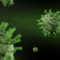 Kraj jurenja za sojevima: AI dizajnirao "univerzalnu vakcinu" koja štiti od svih budućih koronavirusa