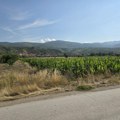 Olivera Gavrilović, stručni saradnik PSSS: Nema dobrog roda kukuruza bez snega, ali i agro mera. I suša i "žega" preterale…