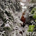 Lovac stradao u lovu u okolini Prijepolja