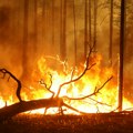 U Jakutiji aktivno 13 požara, vatra zahvatila više od hiljadu hektara šume