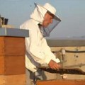 (Foto, video) Urbano pčelarenje Stanko svoj med skuplja s krovova Kvalitetan kao livadski, a evo kako ga pakuje (foto)