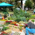Izložba cveća u "manježu": Više od 30 izlagača pred Beograđanima