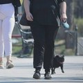 SRCE: Veterinarski zavod Zemun vratiti u državno vlasništvo