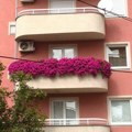 Najlepše bašte i balkoni: Proglašenje pobednika i dodela nagrada 9. avgusta