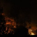 Novi Južni Vels: evakuacija zbog šumskih požara